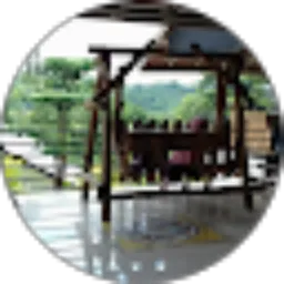 Review From Dedy Dado