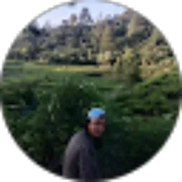 Review From Ade Solihin