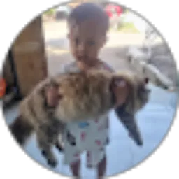 Review From Rohim Nur