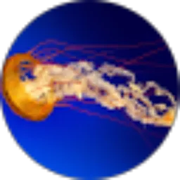 Review From Agung Iman