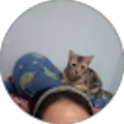 Review From Nova Amalia