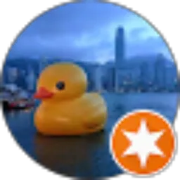 Review From Steve Won