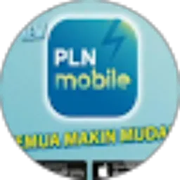 Review From Nurhamim