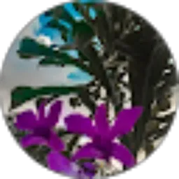 Review From 01_Ni Putu Yuli Anggreni