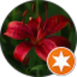 Review From H2R