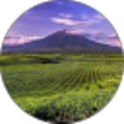 Review From Dessi Yulianti