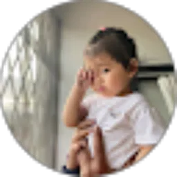 Review From Marini Wihardjo