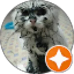 Review From Faisol Amin