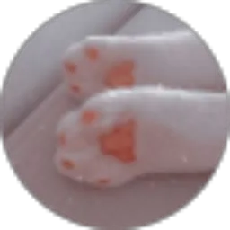 Review From Naila sfr