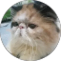 Review From dila nyocot