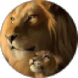 Review From Vitor Paulo