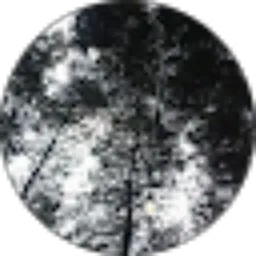 Review From dwindha ajeng