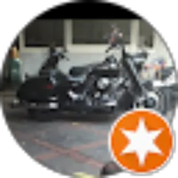 Review From Maya Risky