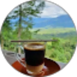 Review From Rizky Wahyudi