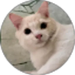 Review From Putri Salsabilla