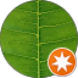 Review From Raja Ismail Heb (AyiHeb)