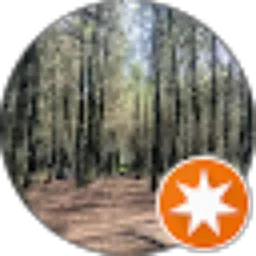 Review From Billy Talar