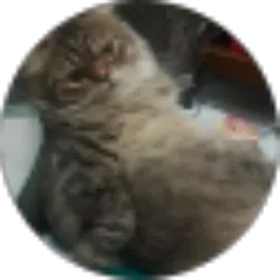 Review From Ciicayy Be