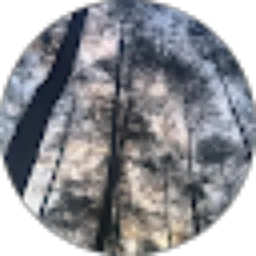 Review From Silvie Ipi Andartyastuti