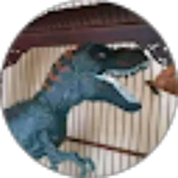 Review From Mr yoga 45