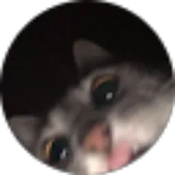 Review From Lily Korang