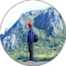 Review From theodorus pala