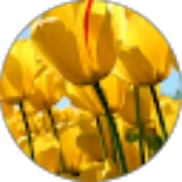 Review From Pembelian Sumberaji