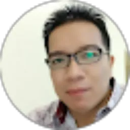 Review From Vincent Roger