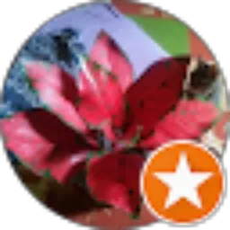 Review From Winda Hilya