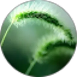 Review From Charles Toto