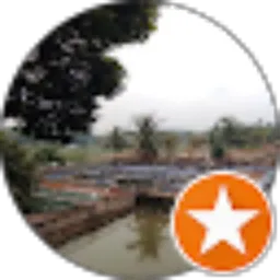 Review From A Khakim