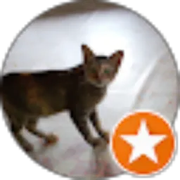 Review From HafizYT Official