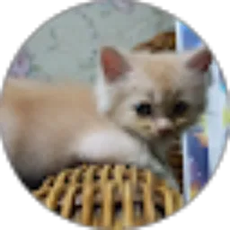 Review From malikul khoir