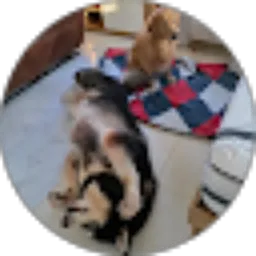 Review From djiaw triana