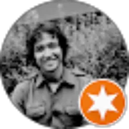 Review From B Gondowardoyo