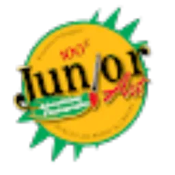 Review From junior art
