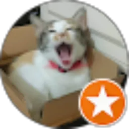 Review From Putri Damayanti