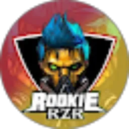 Review From ROOKIE RZR
