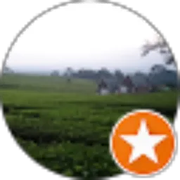 Review From candra wiguna