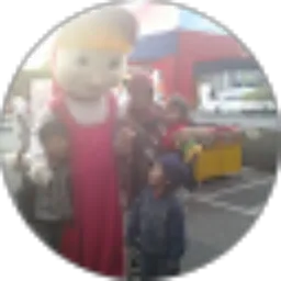 Review From Ferry Novri