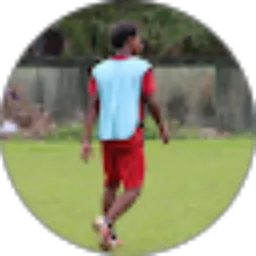 Review From Djen Tomaluhu