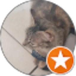 Review From Achmad Aditya