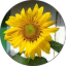 Review From SINDY AULIA