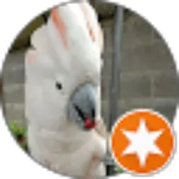 Review From Isturus Andre Purwandhono