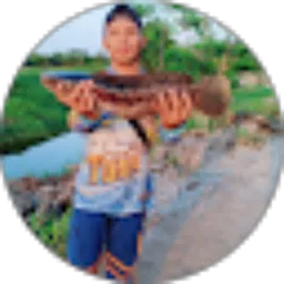 Review From Liki Hermawan