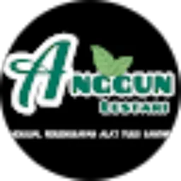 Review From anggun lestari