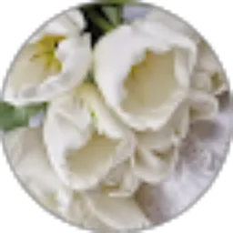 Review From mu'alatul Baida