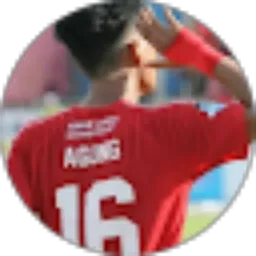 Review From Agung Perdana