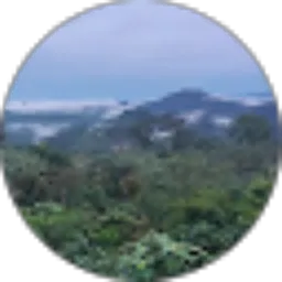 Review From Harbetsandi1992