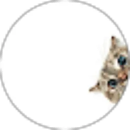 Review From Rizqia Nazla